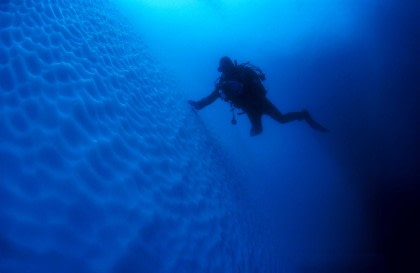 Antarctica - Whale watching discovery and learning voyage