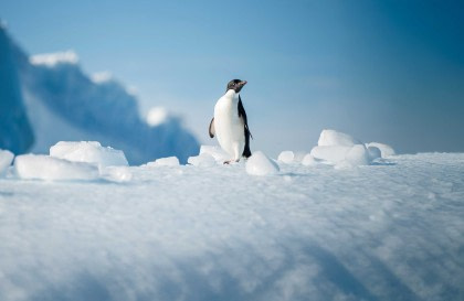 Antarctica – Uncharted islands of the Deep South
