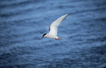 North Sea - Vlissingen to Aberdeen