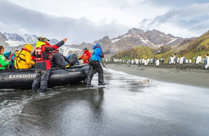 Falkland Islands, South Georgia, Elephant Island, Antarctica - Polar Circle
